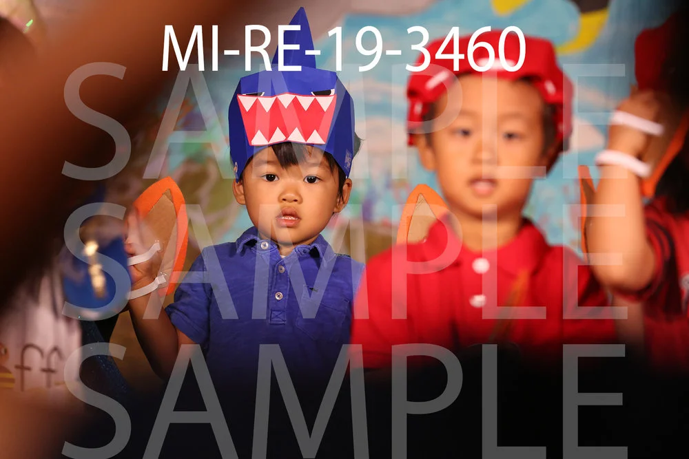 MI-RE-19-3460.jpg