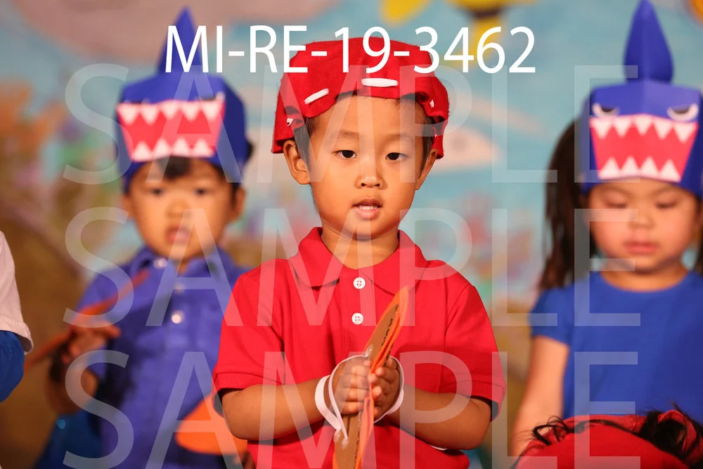 MI-RE-19-3462.jpg