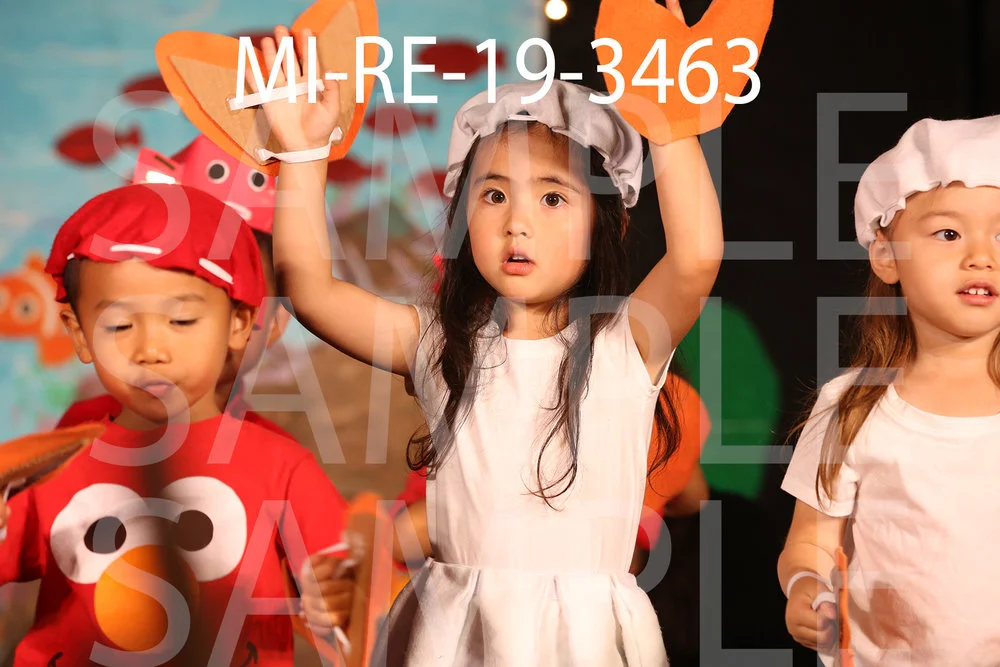 MI-RE-19-3463.jpg