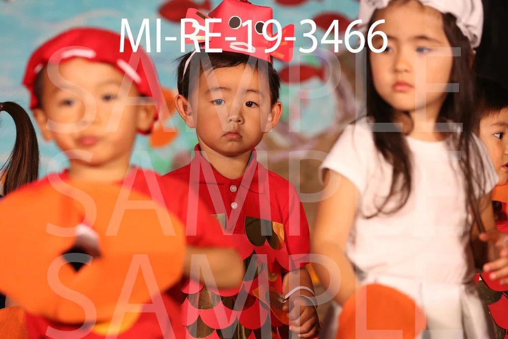 MI-RE-19-3466.jpg