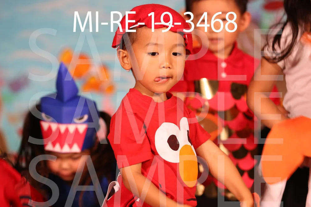 MI-RE-19-3468.jpg