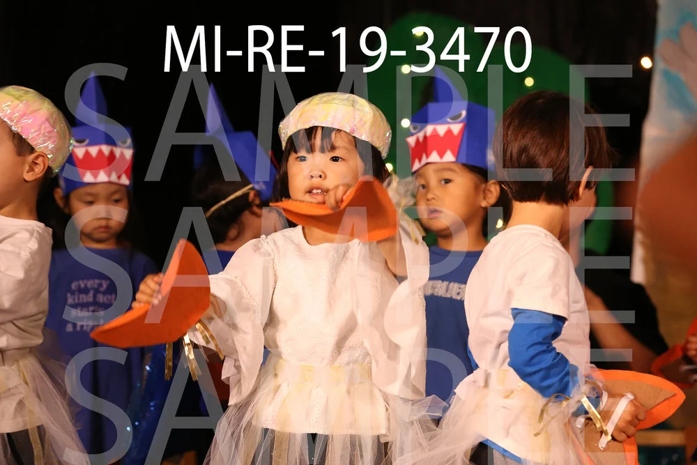 MI-RE-19-3470.jpg
