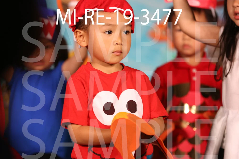 MI-RE-19-3477.jpg