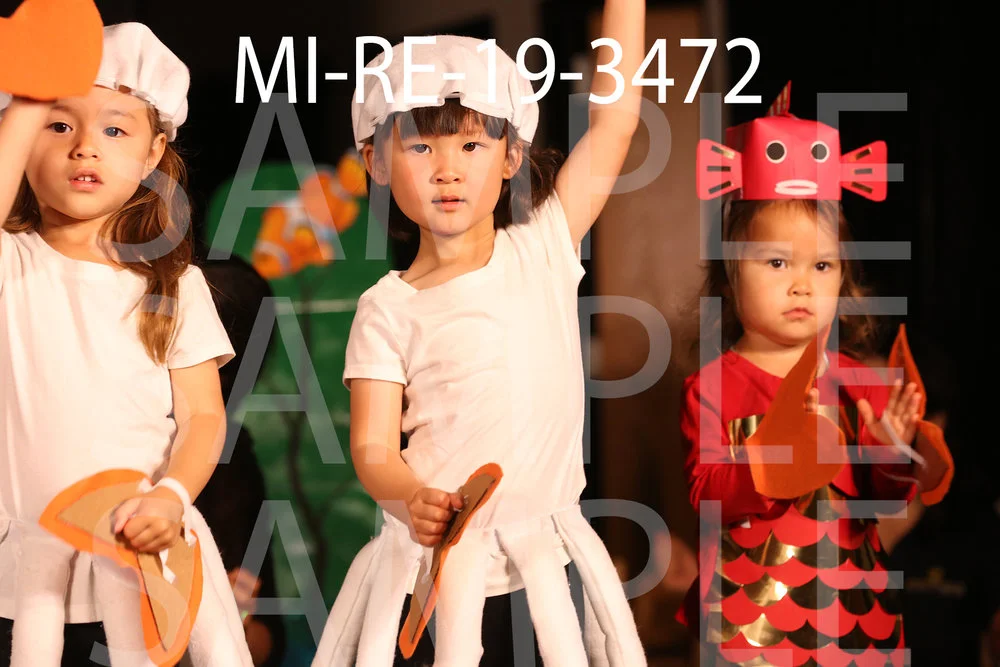 MI-RE-19-3472.jpg