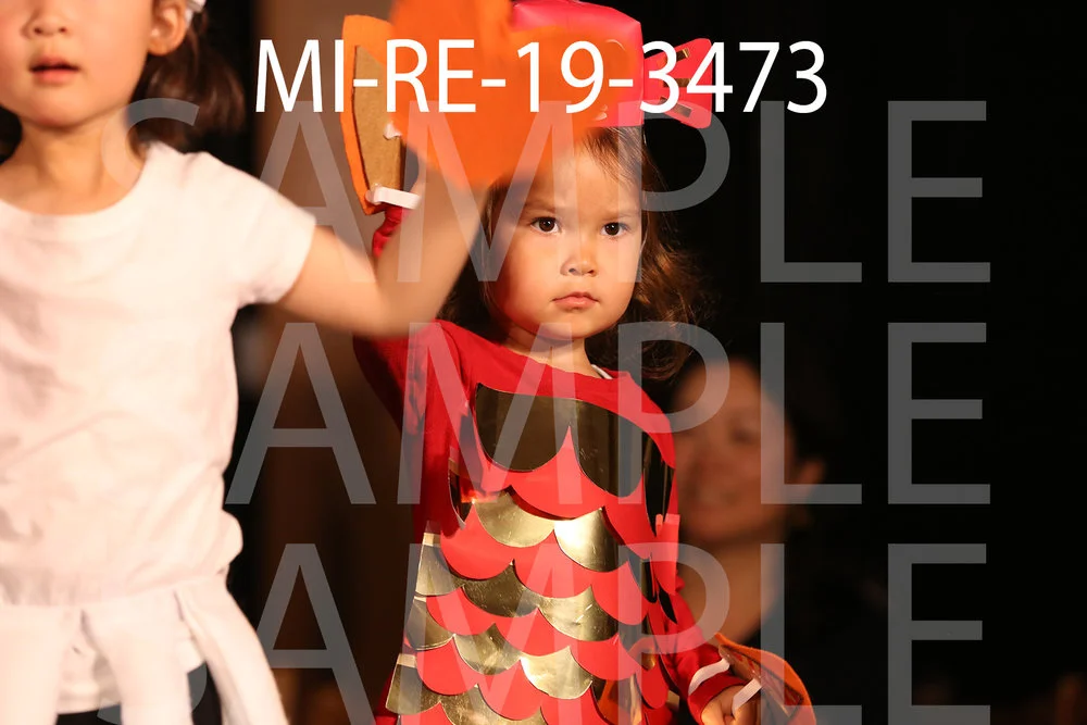 MI-RE-19-3473.jpg