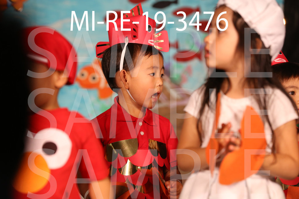 MI-RE-19-3476.jpg