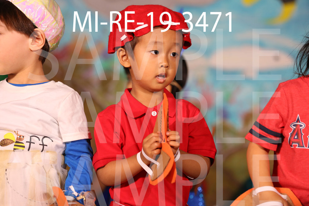 MI-RE-19-3471.jpg