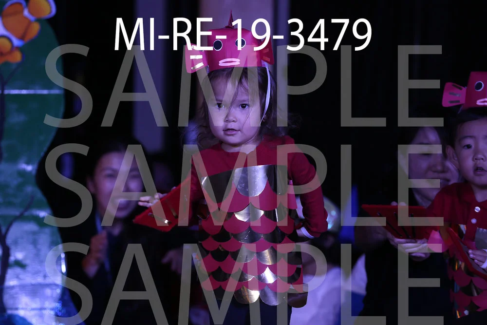 MI-RE-19-3479.jpg
