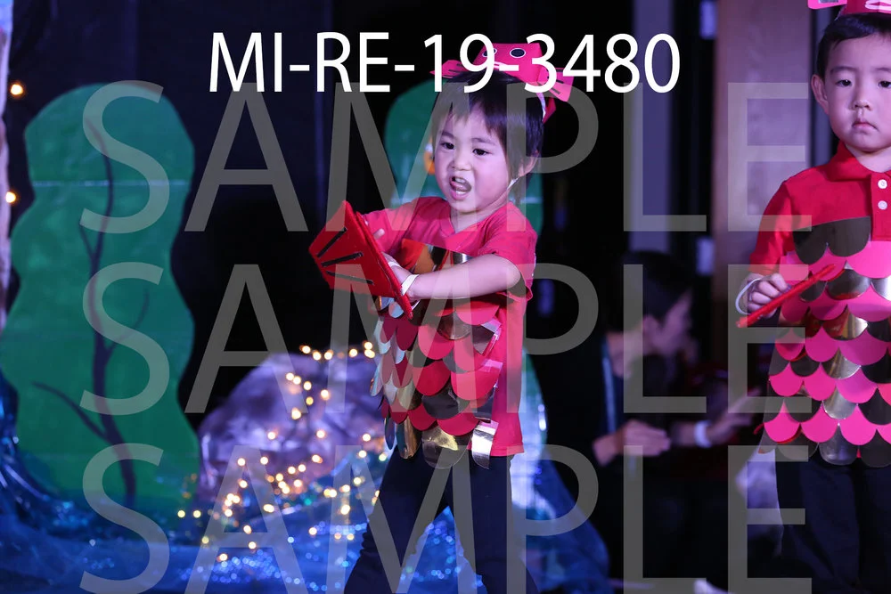 MI-RE-19-3480.jpg