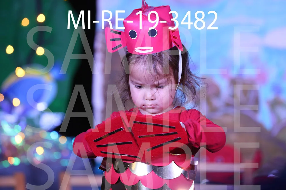 MI-RE-19-3482.jpg