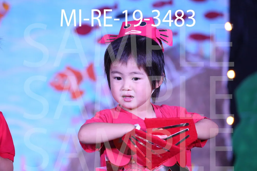 MI-RE-19-3483.jpg