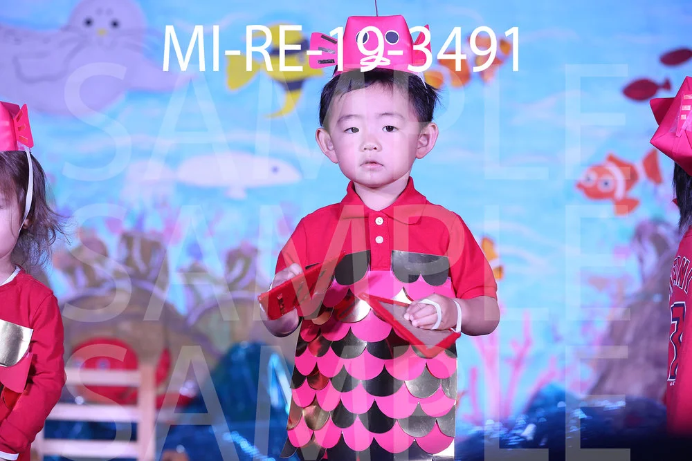 MI-RE-19-3491.jpg