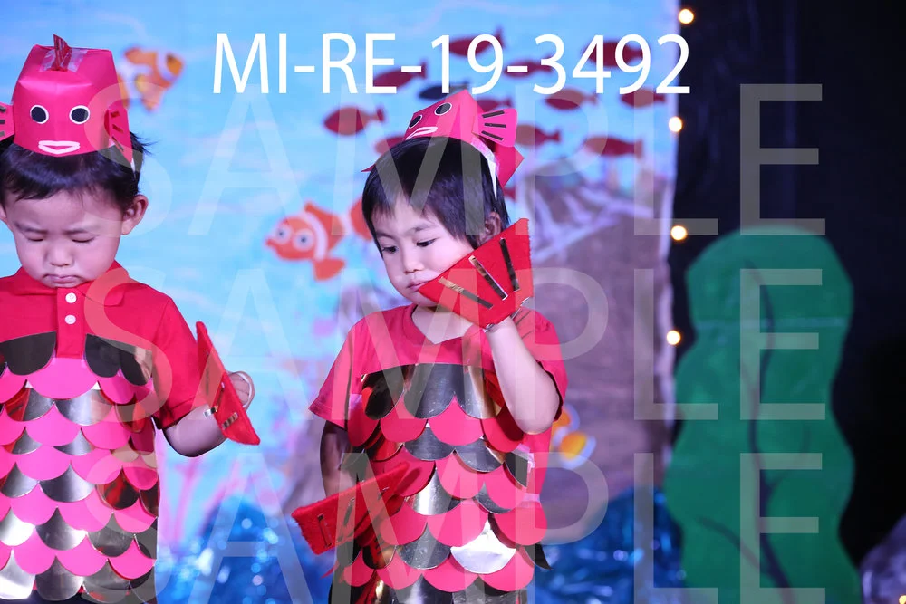 MI-RE-19-3492.jpg