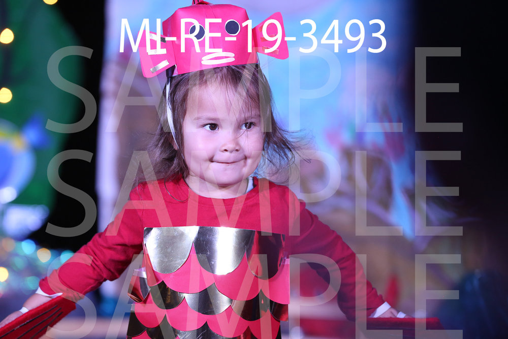 MI-RE-19-3493.jpg