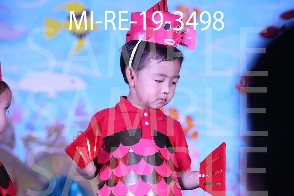 MI-RE-19-3498.jpg