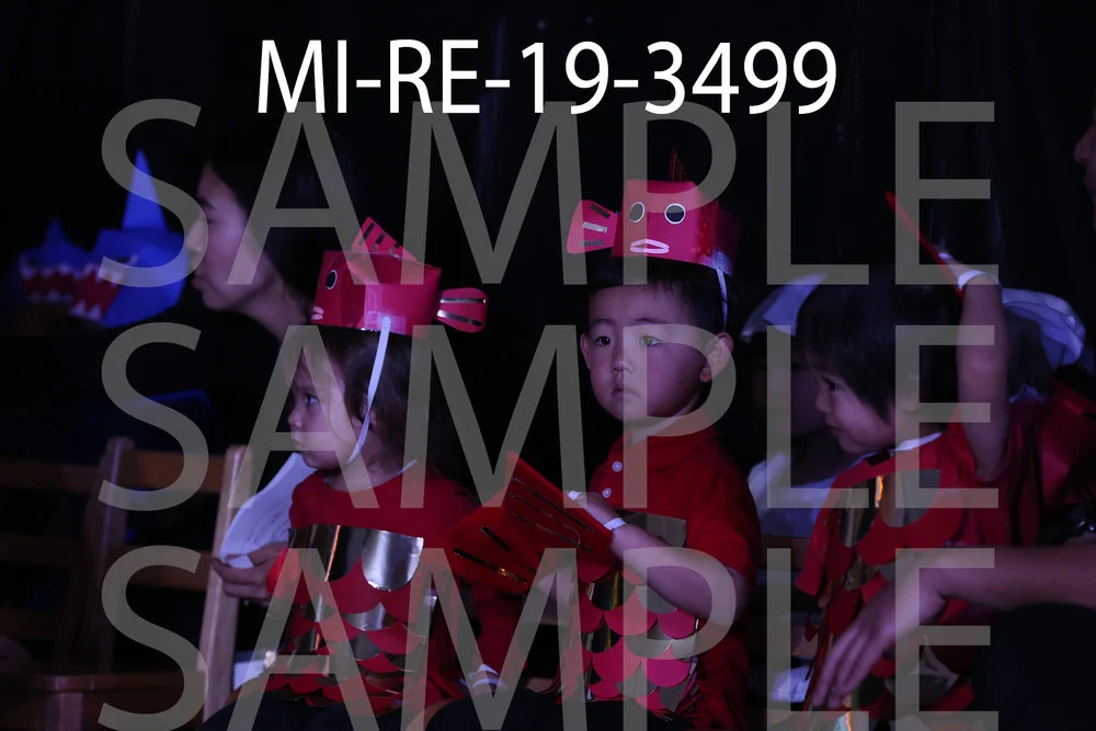 MI-RE-19-3499.jpg