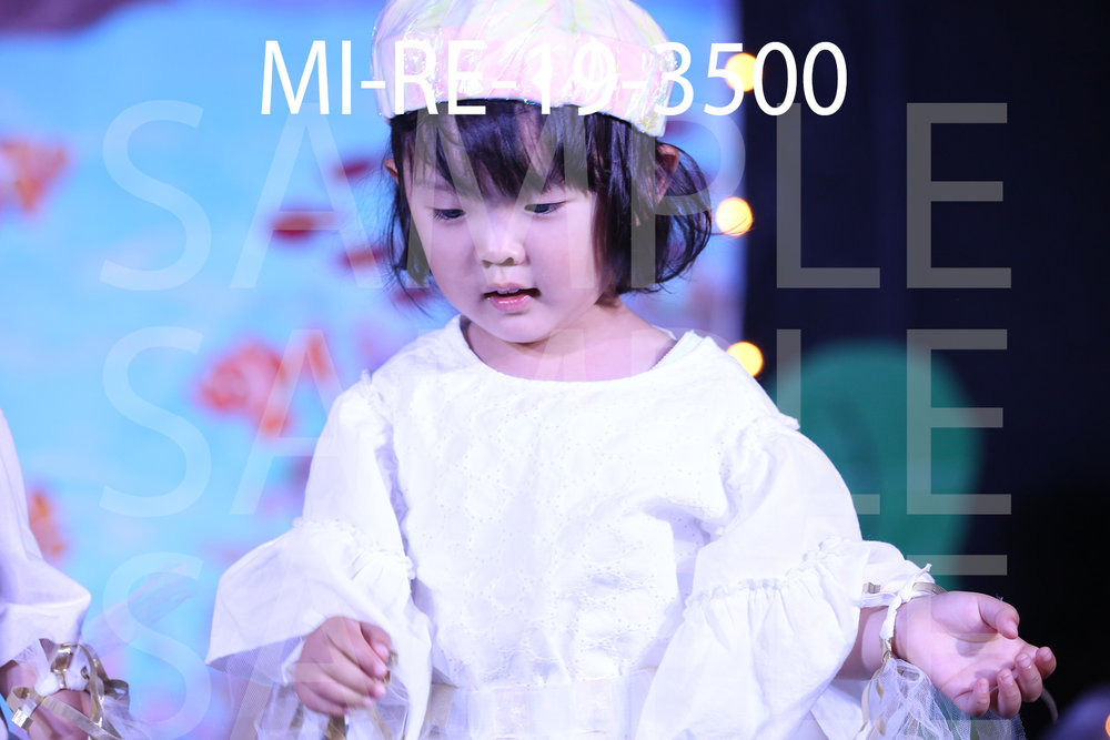 MI-RE-19-3500.jpg