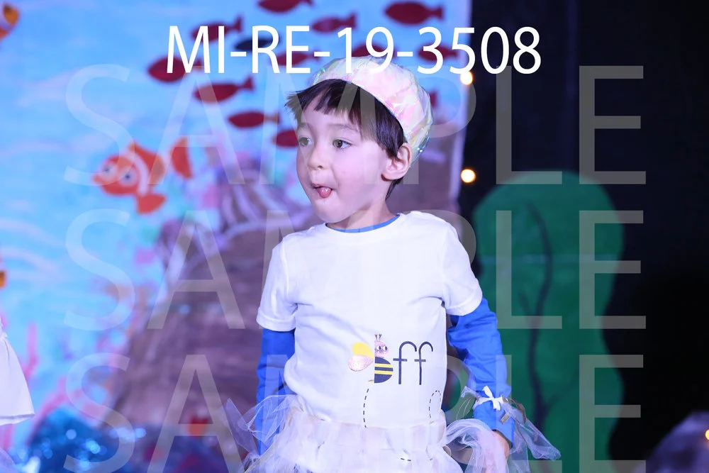 MI-RE-19-3508.jpg