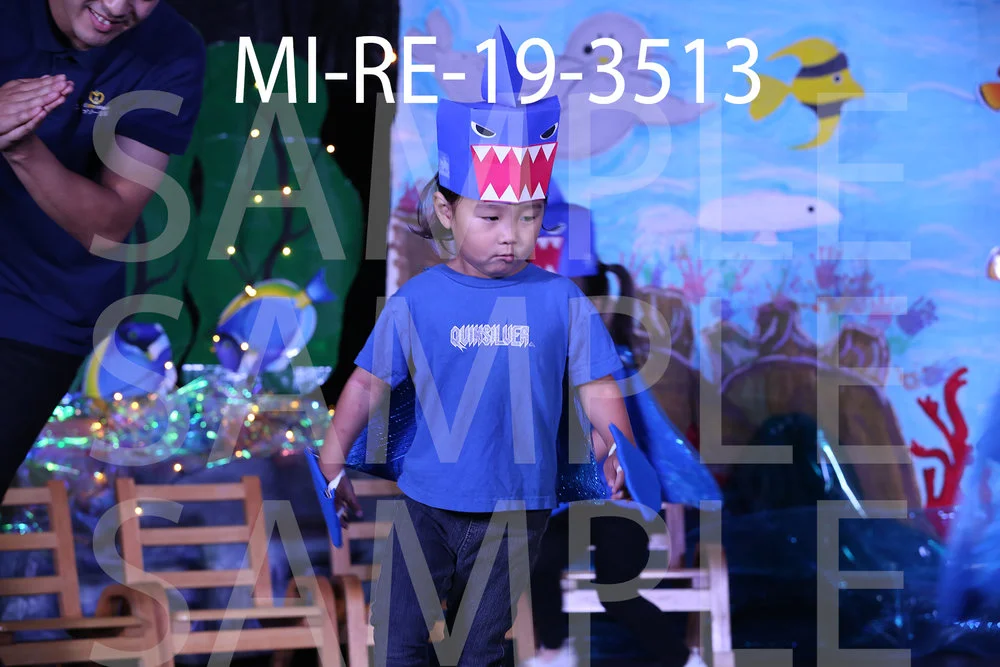 MI-RE-19-3513.jpg
