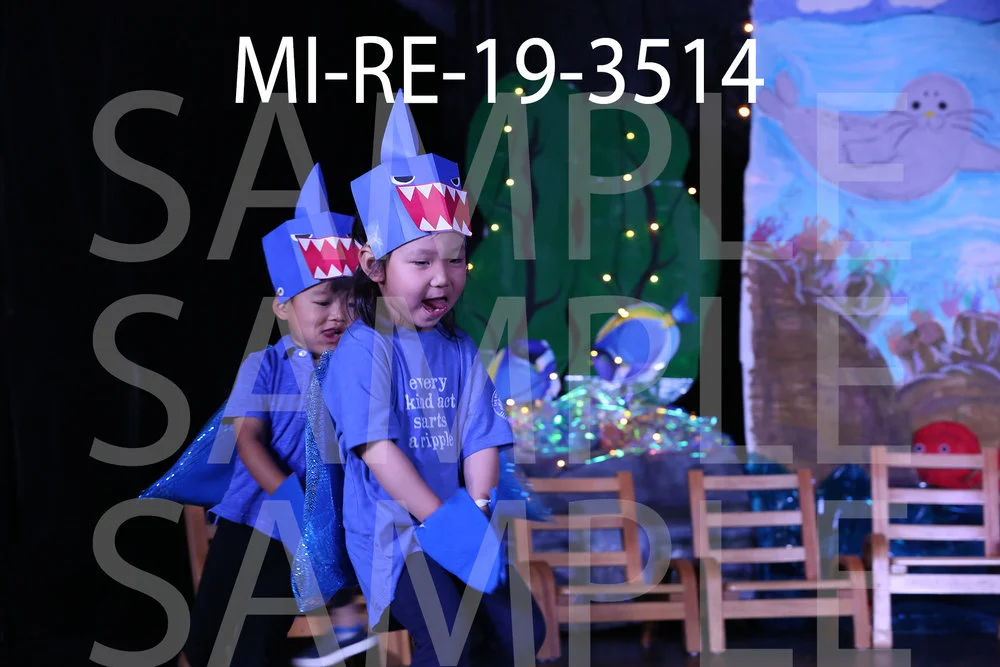 MI-RE-19-3514.jpg