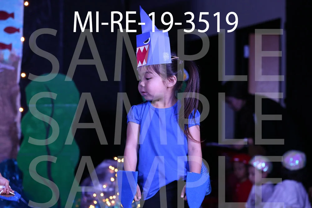 MI-RE-19-3519.jpg