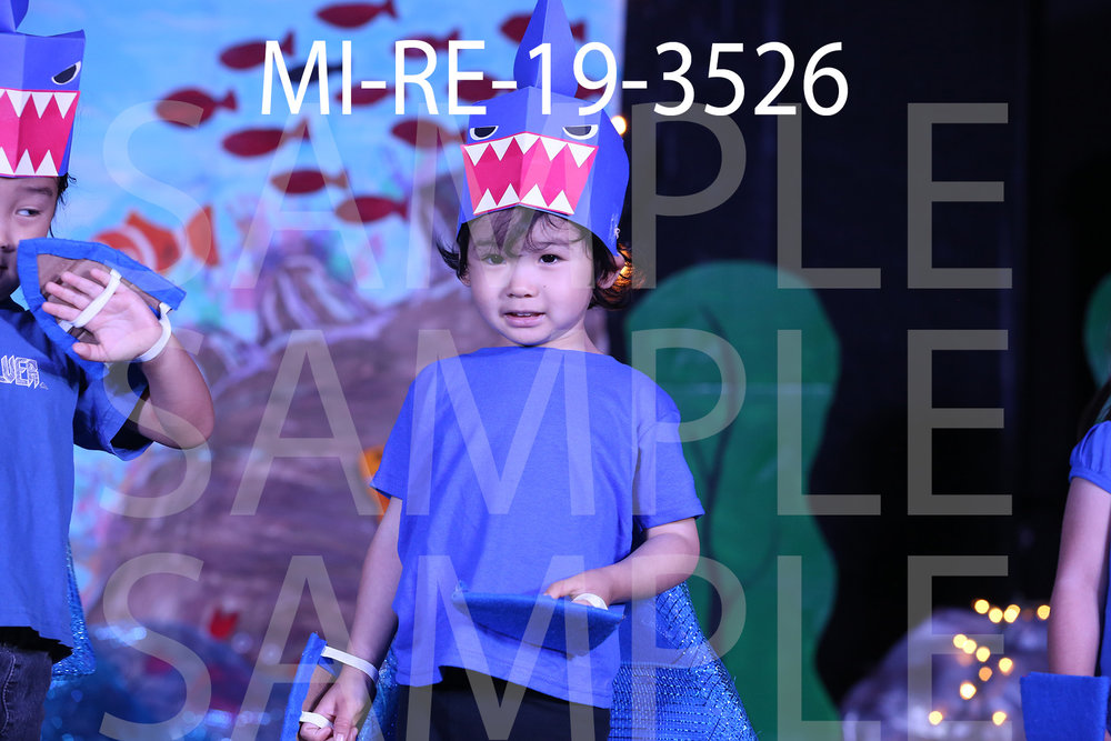 MI-RE-19-3526.jpg