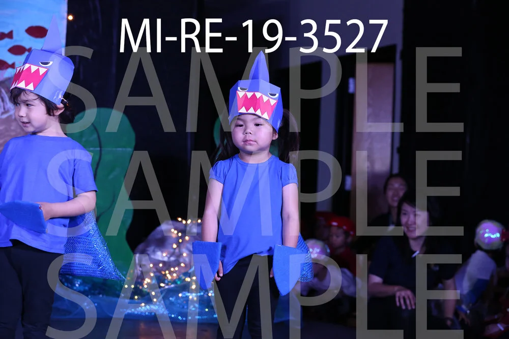 MI-RE-19-3527.jpg