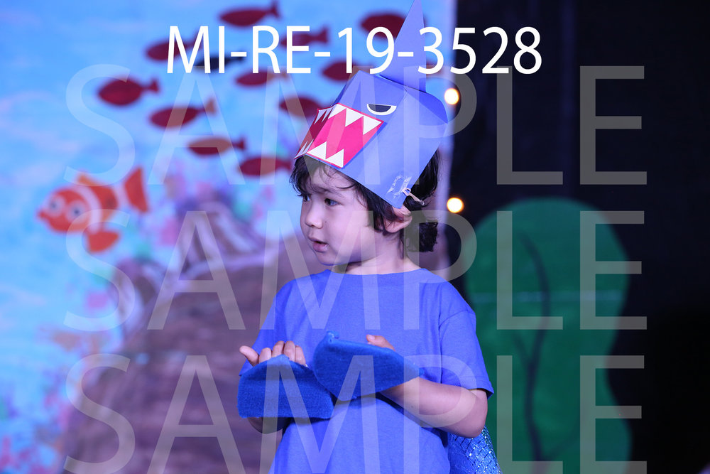 MI-RE-19-3528.jpg