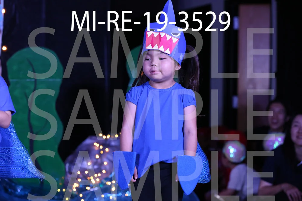 MI-RE-19-3529.jpg