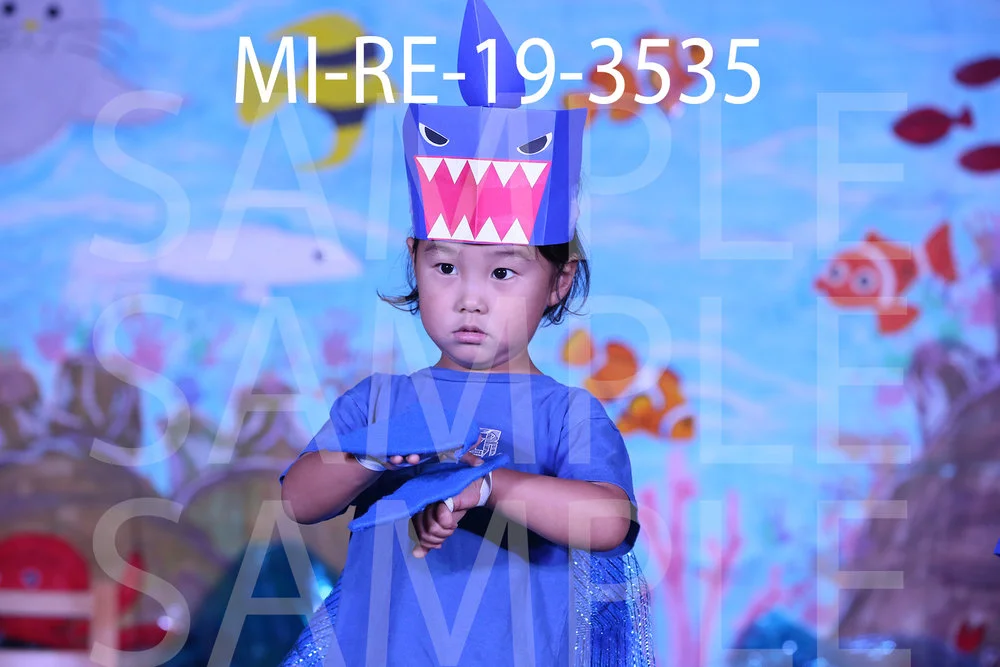 MI-RE-19-3535.jpg