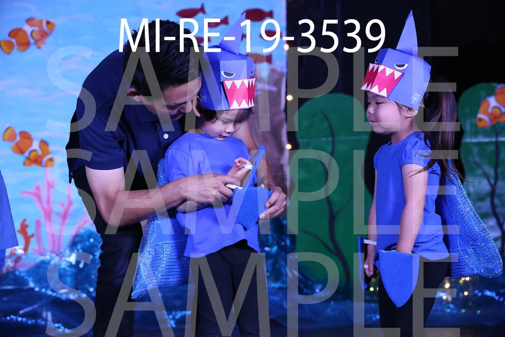 MI-RE-19-3539.jpg