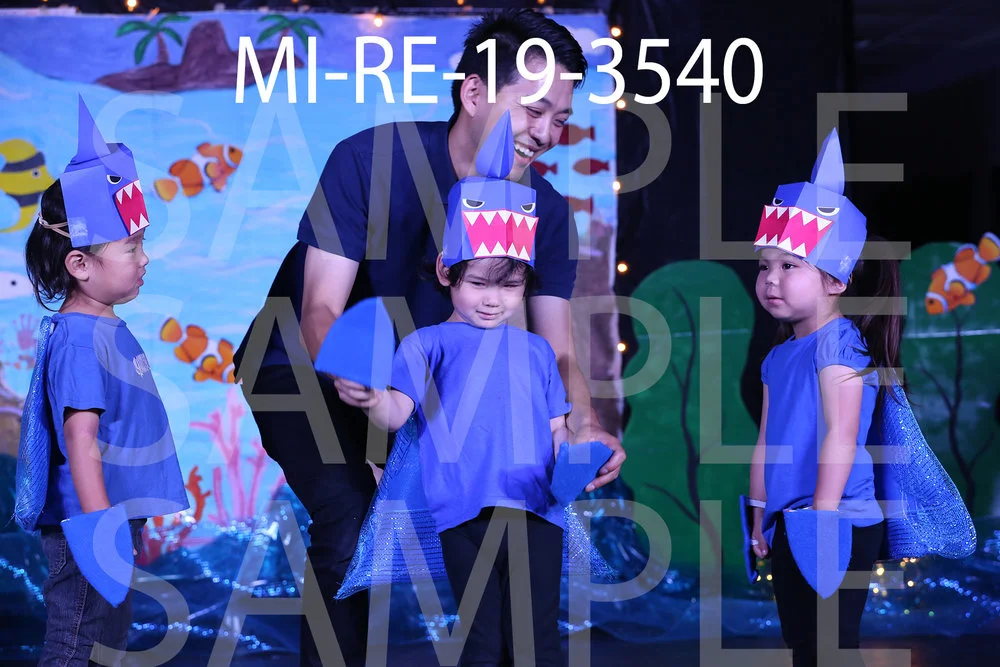 MI-RE-19-3540.jpg