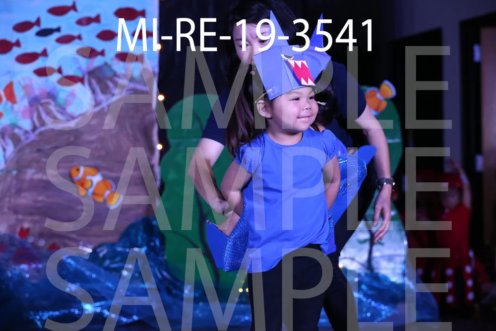 MI-RE-19-3541.jpg
