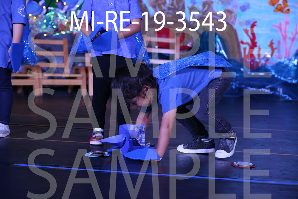 MI-RE-19-3543.jpg