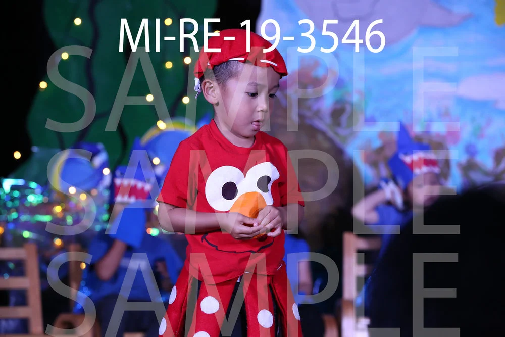 MI-RE-19-3546.jpg