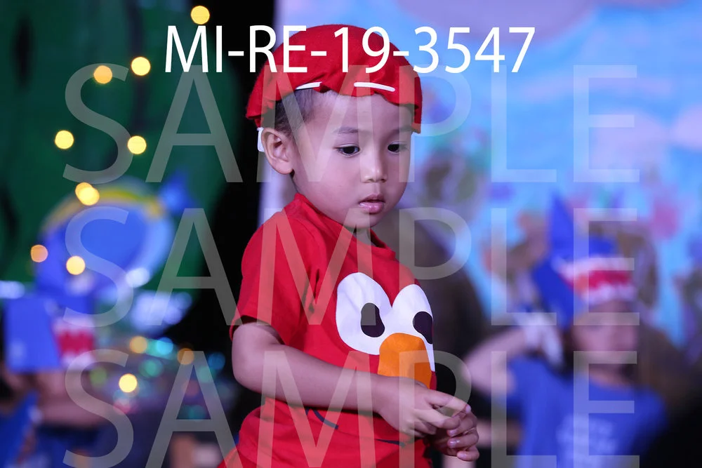 MI-RE-19-3547.jpg