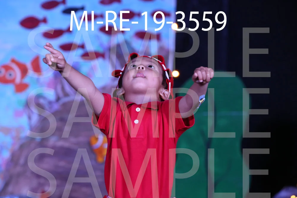 MI-RE-19-3559.jpg