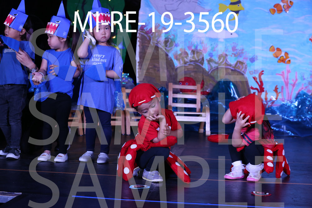 MI-RE-19-3560.jpg
