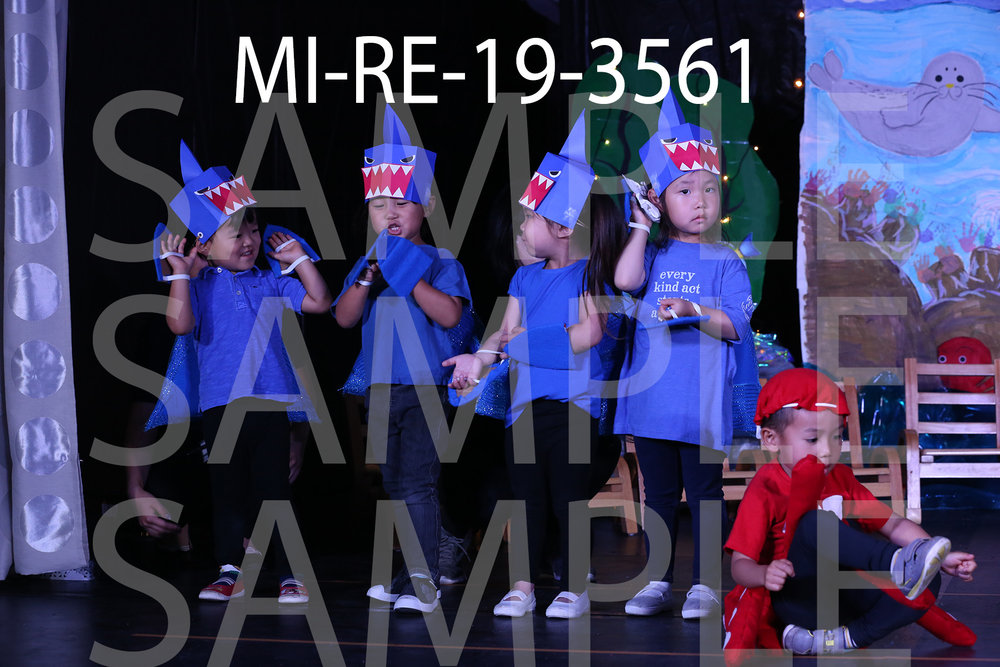 MI-RE-19-3561.jpg
