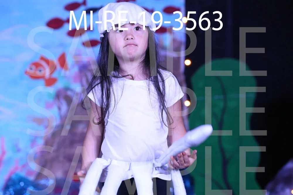 MI-RE-19-3563.jpg