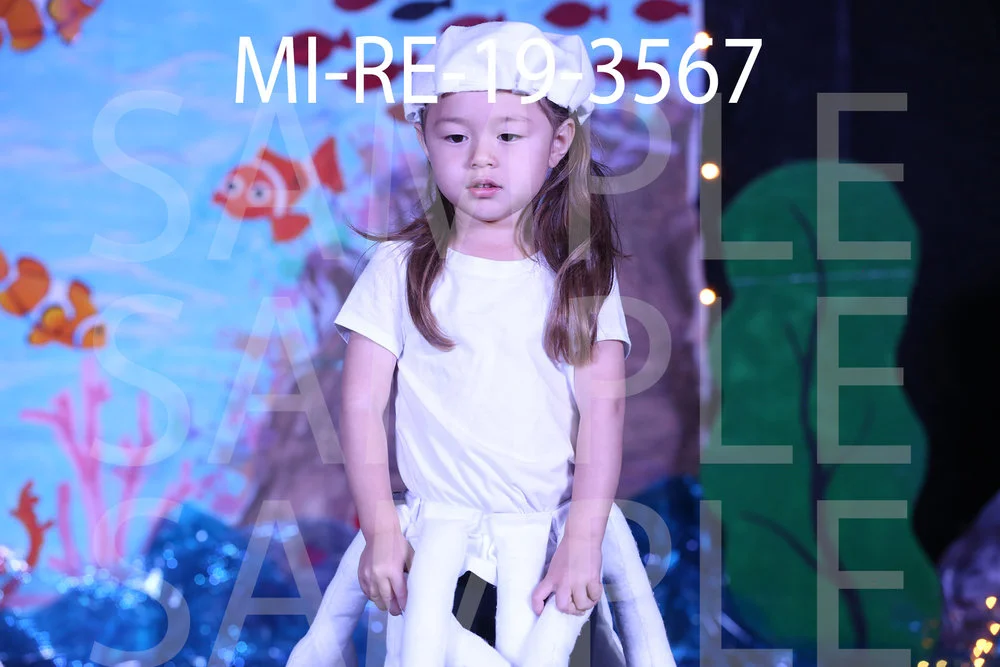 MI-RE-19-3567.jpg