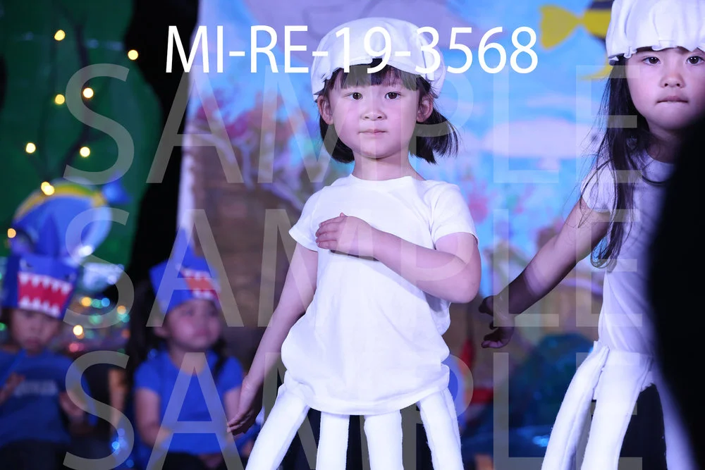 MI-RE-19-3568.jpg