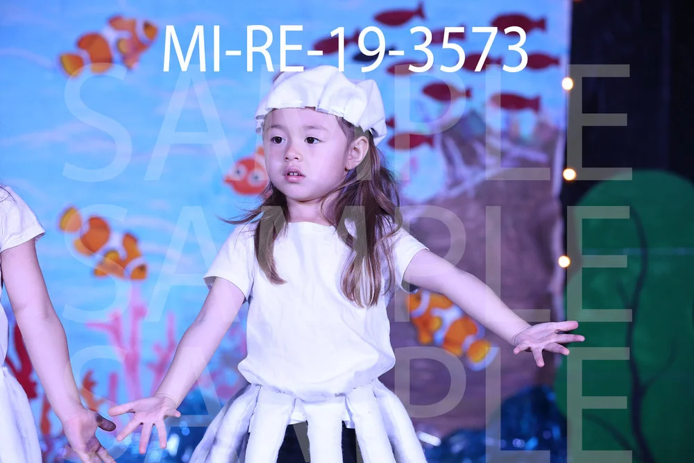 MI-RE-19-3573.jpg