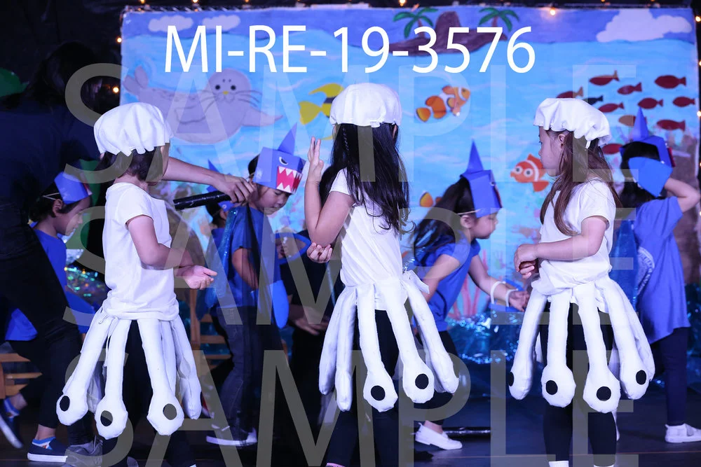 MI-RE-19-3576.jpg