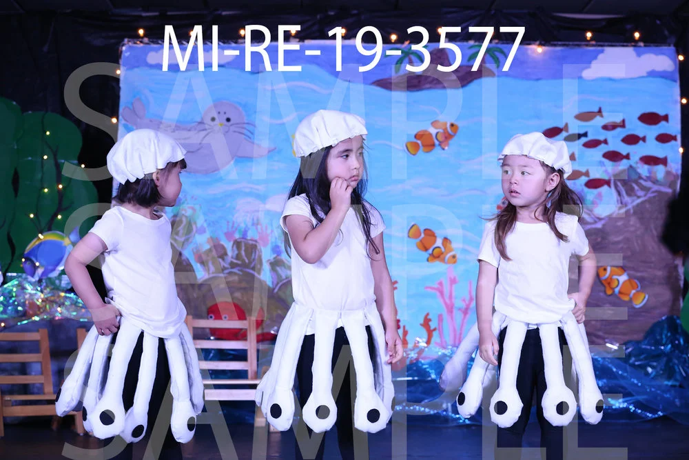 MI-RE-19-3577.jpg