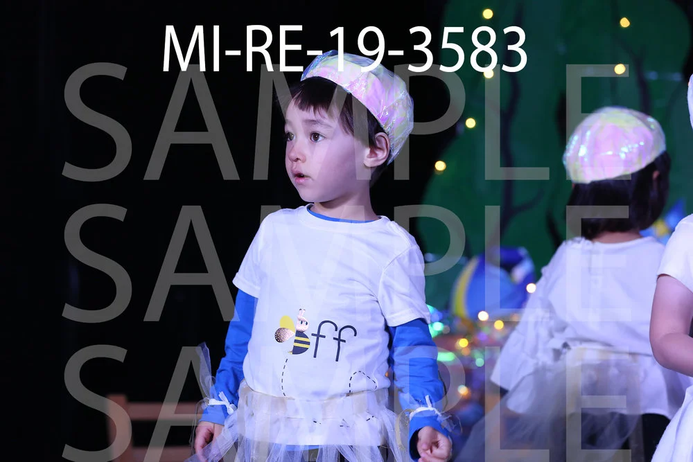 MI-RE-19-3583.jpg