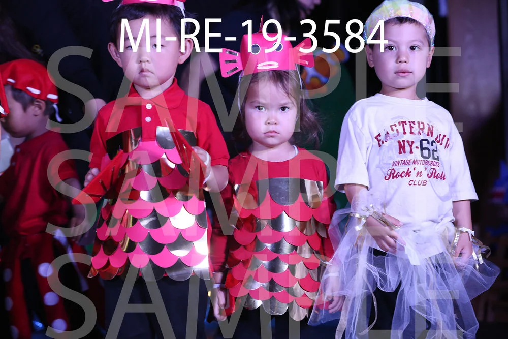 MI-RE-19-3584.jpg