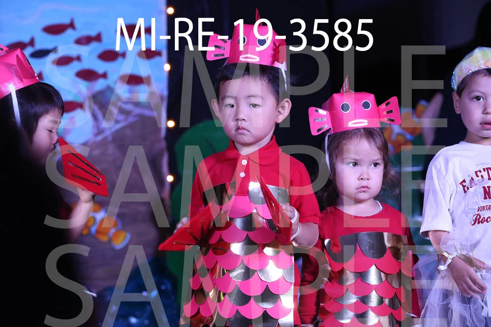 MI-RE-19-3585.jpg