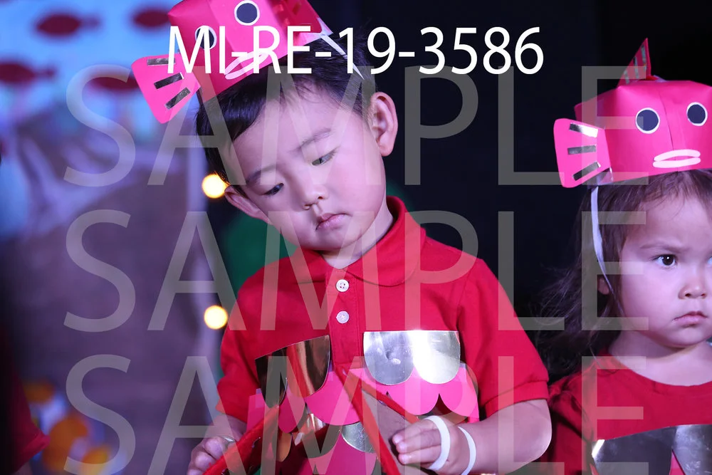 MI-RE-19-3586.jpg