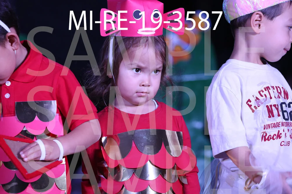 MI-RE-19-3587.jpg